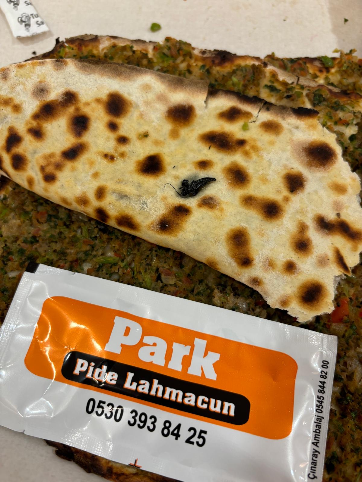 Lahmacundan böcek çıktı! 